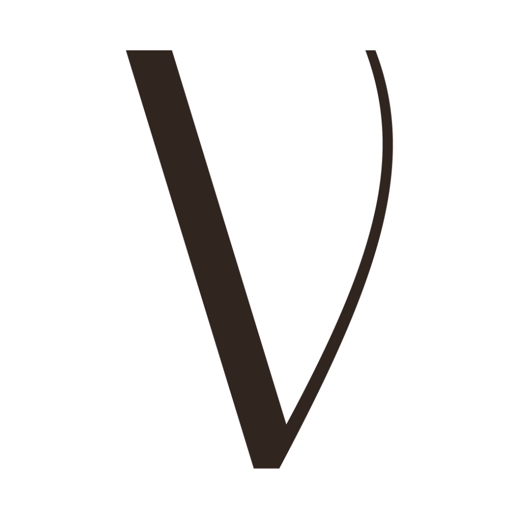 Voxion Studio